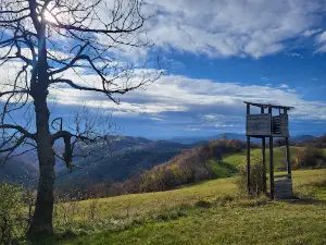 Peak Rajac 848 m,mountain Suvobor