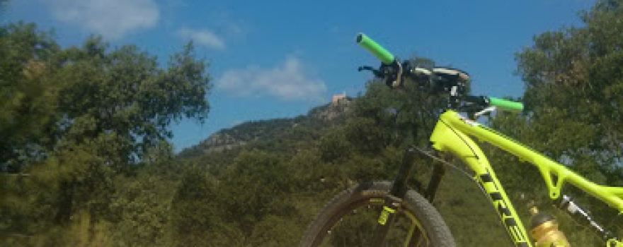 Pinar De Girona