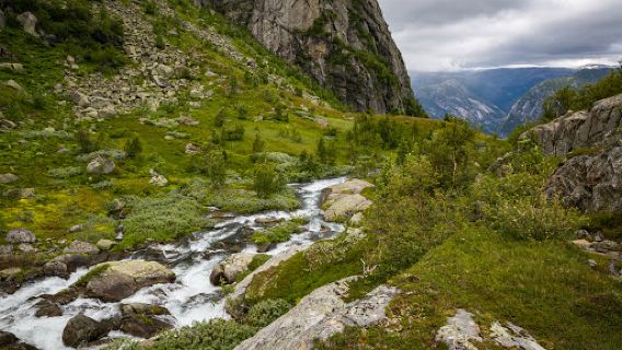 Folgefonna National Park