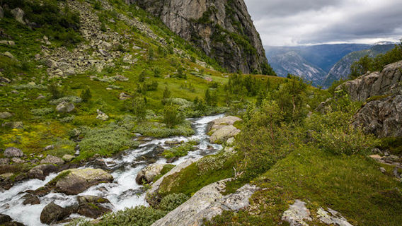 Folgefonna-Nationalpark