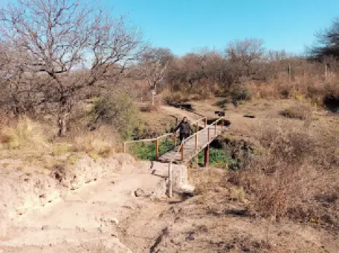 Pumakawa Animal Reserve