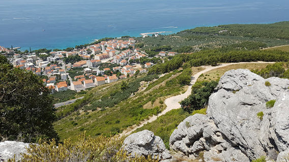 Promajna Rent