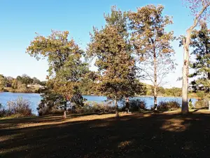 Парк Лейквью