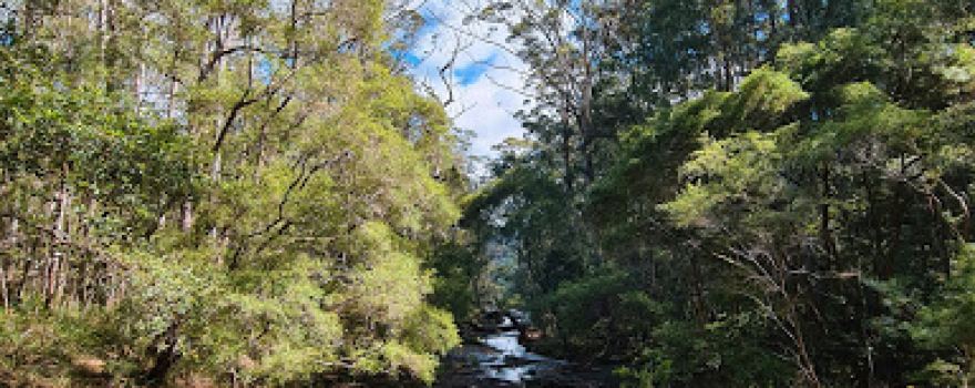 Goonengerry-Nationalpark