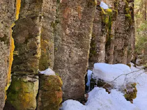 Moffat Lake Rd Basalt Columns