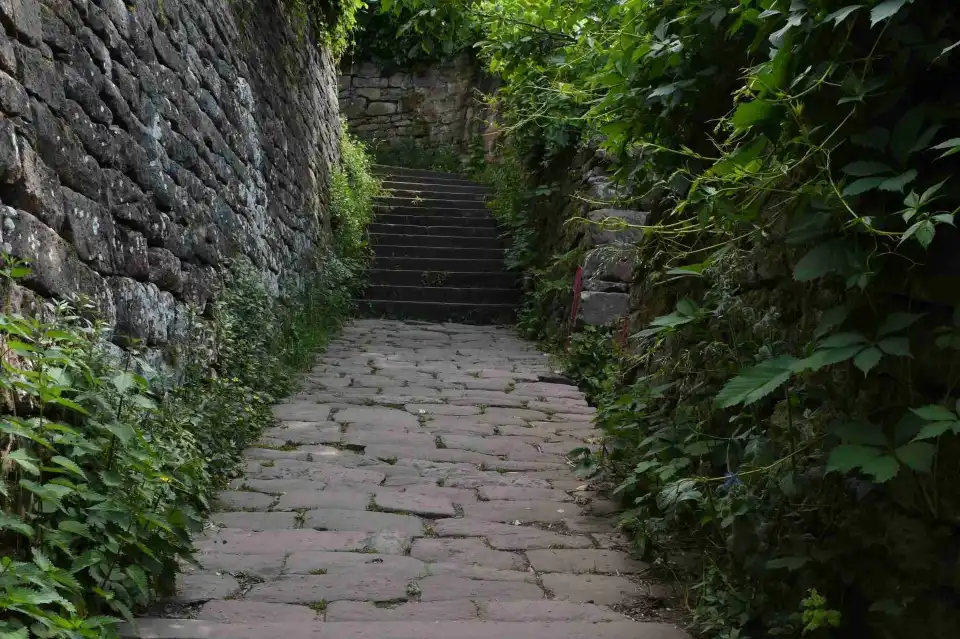 5_Philosophenweg