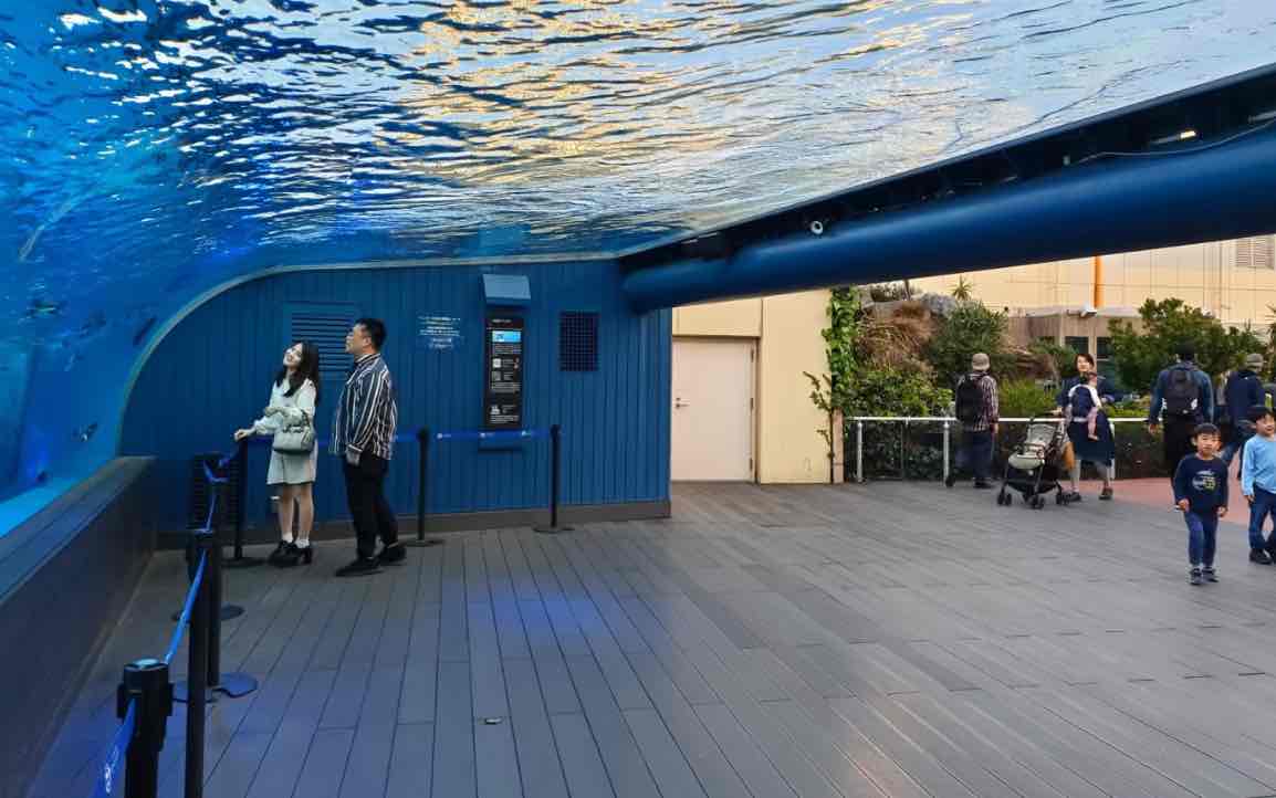 Tokyo Sunshine Aquarium Admission E-ticket