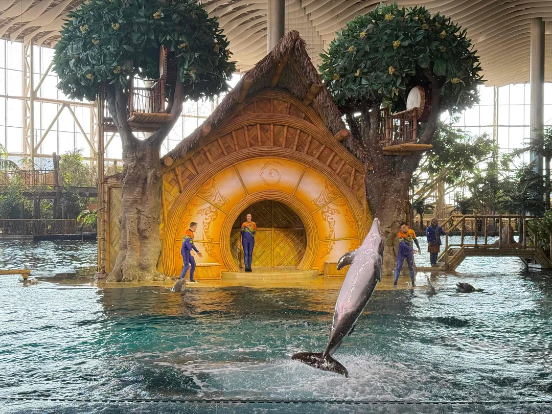 4_SeaWorld® Yas Island