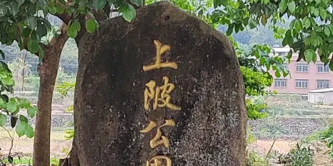 上陂公園