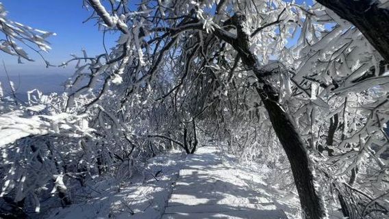 Tongbai Mountain Taibai Top Scenic Area
