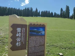 xue ling yun shan