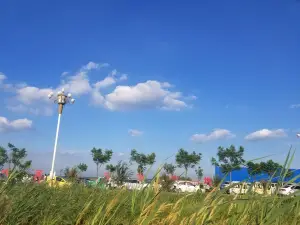 Ten Thousand Mu Lotus Eco Park