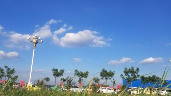 Ten Thousand Mu Lotus Eco Park