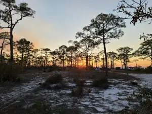 Dr. Julian G. Bruce St. George Island State Park
