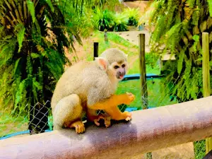 Salvador Zoo and Botanical Park