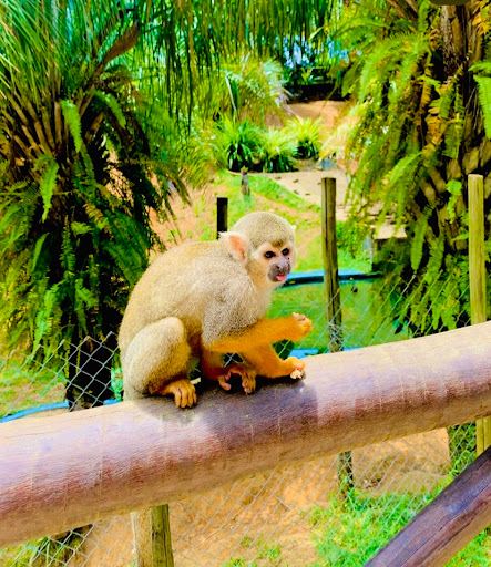 Salvador Zoo and Botanical Park