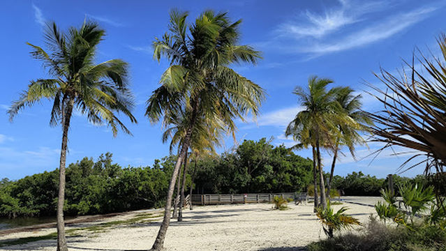 John Pennekamp Camp Area