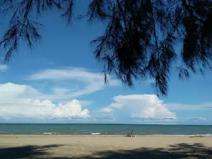 WISATA GREEN BEACH Paya Dua Peudawa Aceh timur