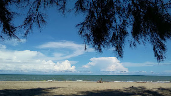 WISATA GREEN BEACH Paya Dua Peudawa Aceh timur