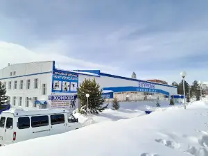 Ledovyy Dvorets Buguruslan