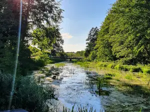 Park Żubra w Złocieńcu