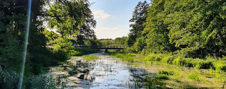 Park Żubra w Złocieńcu