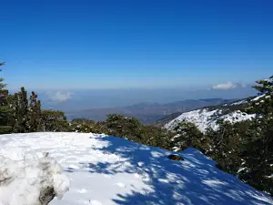Artemis Trail