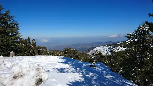 Artemis Trail