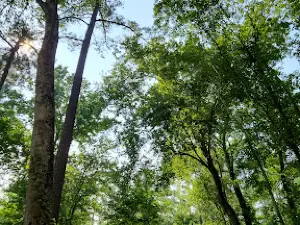 ロリス自然公園