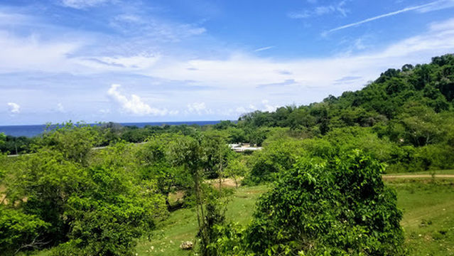 Chukka Blue Polo Club