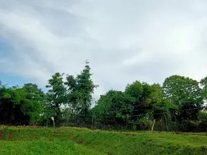 Shiv Mandir Dongari Tola