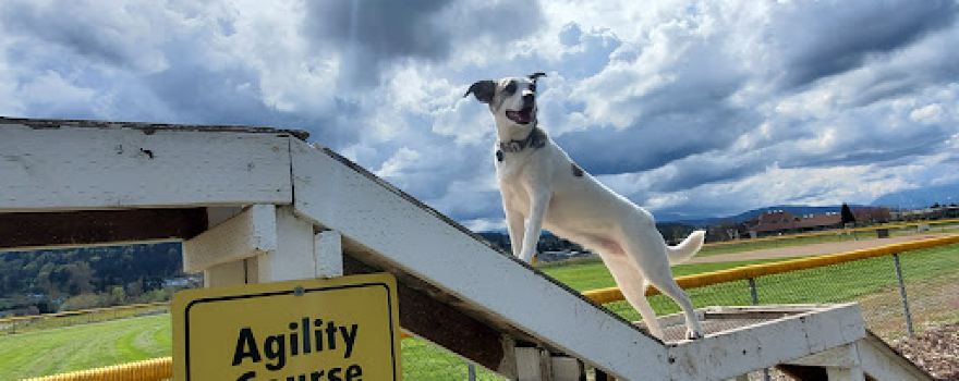 Sequim Dog Park