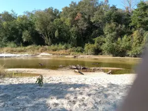 Perk Beach RV Park