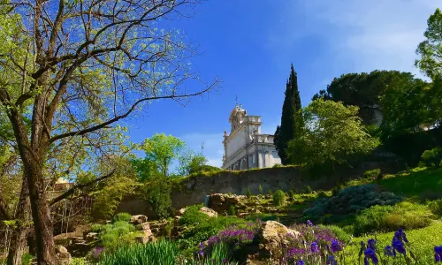 Botanical Garden of Rome