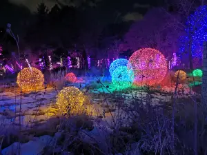 Popular Night Attractions in Colorado