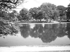 Elm Park