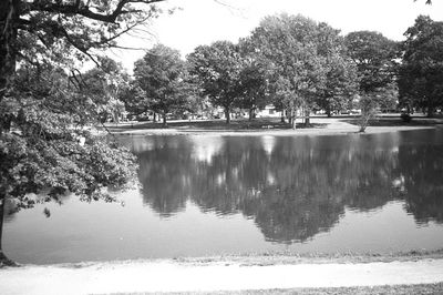 Elm Park