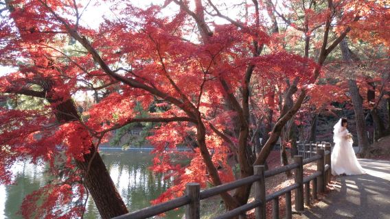 Okazaki City Higashi Park