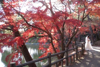 Okazaki City Higashi Park