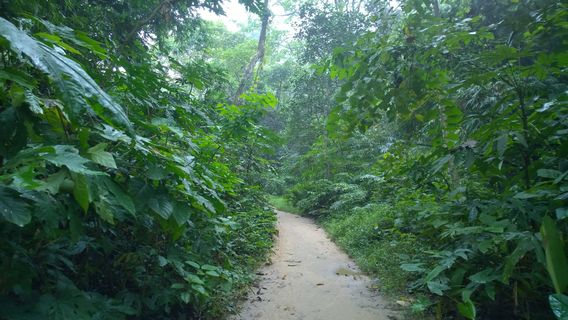 Lawachara National Park