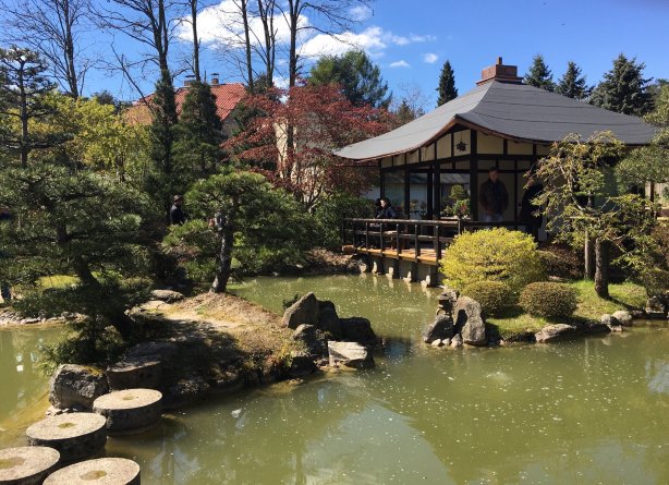 Japanese Bonsai Garden (Japanischer Bonsaigarten) Tickets [2026] - Promos,  Prices, Reviews & Opening Hours | Trip.com