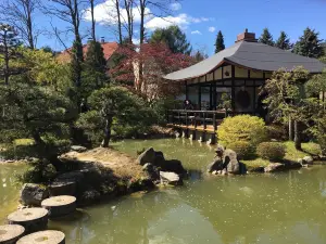 Japanese Bonsai Garden (Japanischer Bonsaigarten)