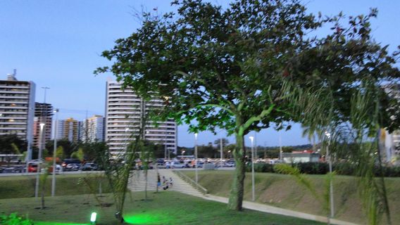 Manaus
