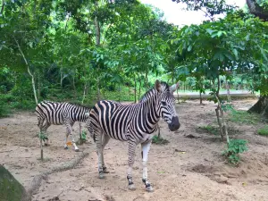 Tilagarh Eco Park