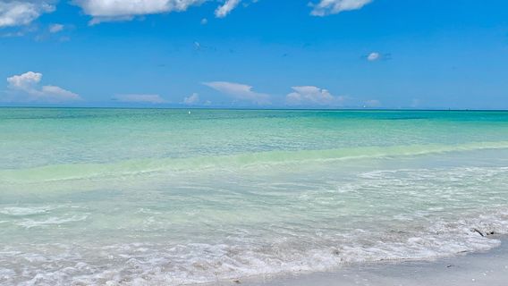 Lido Key Beach