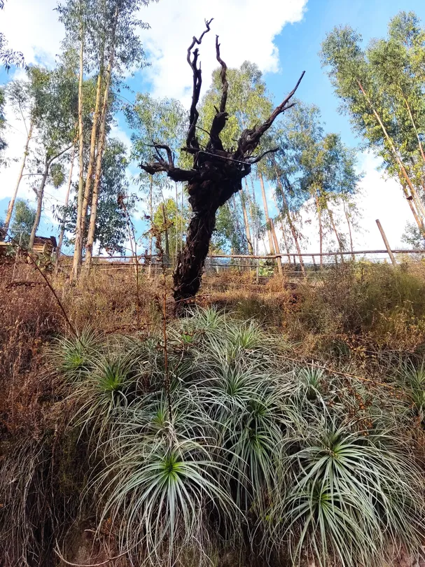 4_Humedales de Huasao