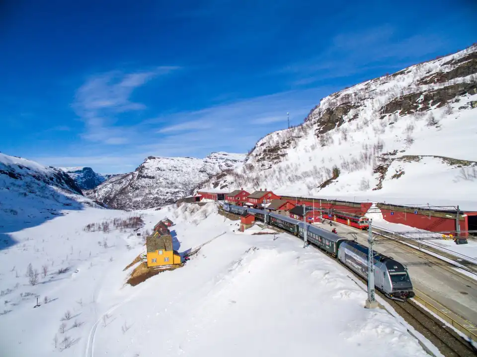 5_Flam Train
