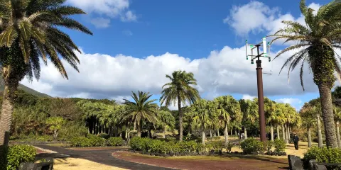 八丈植物公園