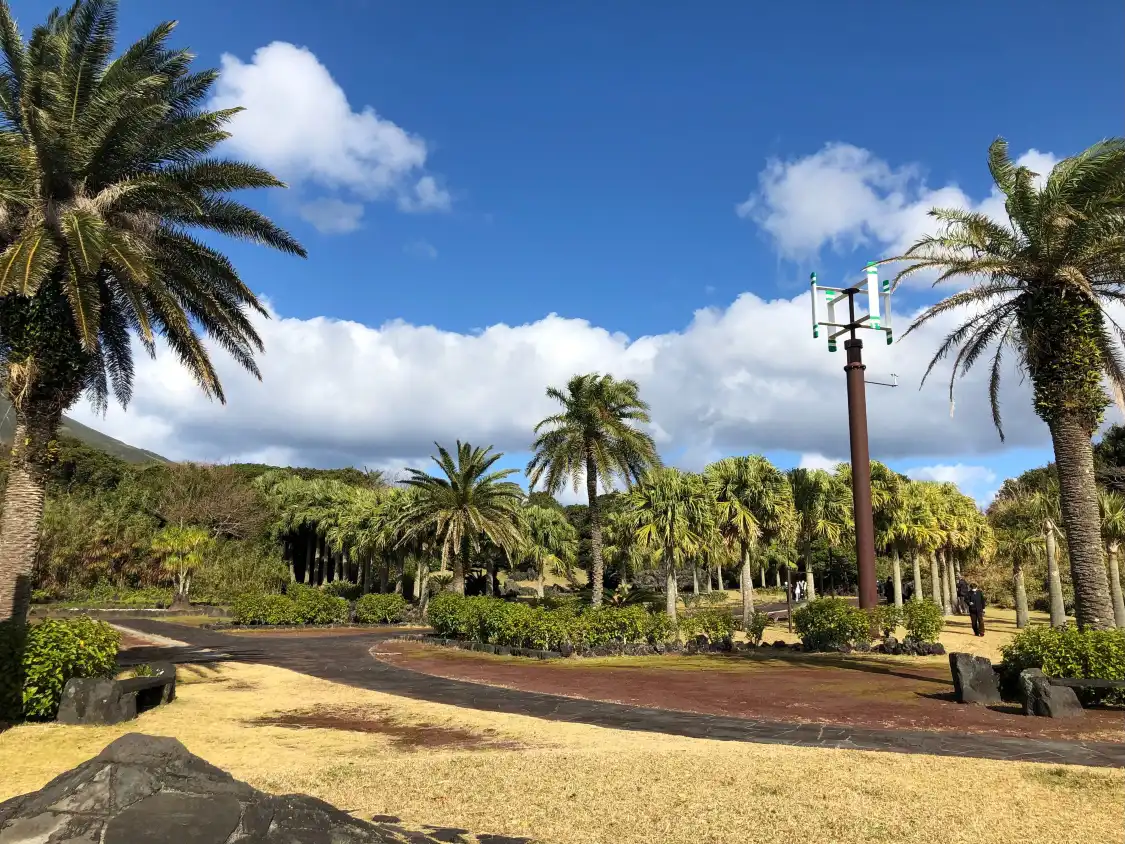 Hotels near Hachijo Botanical Park