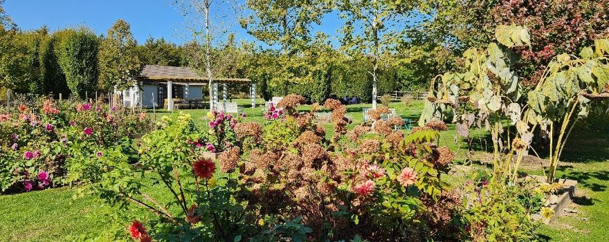 Jamesport Vineyards | Little Oak Wood Fired Kitchen